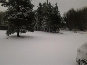 Sne.jpg