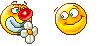 flower.gif flower.gif